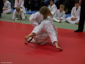 2013 03 05 - 010 Per Ottosson  